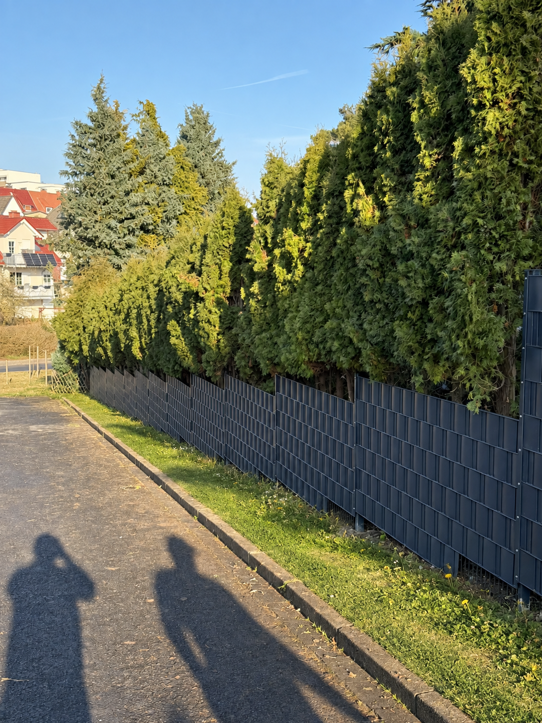Sichtschutzzaun 2